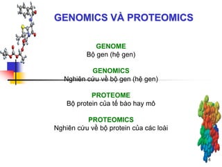 GENOMICS VÀ PROTEOMICS
4
GENOME
Bộ gen (hệ gen)
GENOMICS
Nghiên cứu về bộ gen (hệ gen)
PROTEOME
Bộ protein của tế bào hay mô
PROTEOMICS
Nghiên cứu về bộ protein của các loài
 