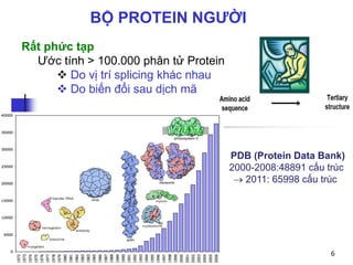 PDB (Protein Data Bank)
2000-2008:48891 cấu trúc
 2011: 65998 cấu trúc
6
BỘ PROTEIN NGƯỜI
Rất phức tạp
Ước tính > 100.000 phân tử Protein
 Do vị trí splicing khác nhau
 Do biến đổi sau dịch mã
 