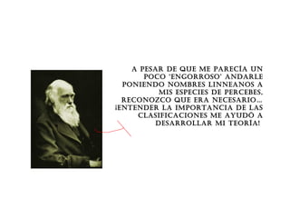 A pesAr de que me pArecíA un
poco ‘engorroso’ AndArle
poniendo nombres linneAnos A
mis especies de percebes,
reconozco que erA necesArio…
¡entender lA importAnciA de lAs
clAsificAciones me Ayudó A
desArrollAr mi teoríA!
 