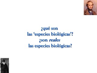 ¿qué son¿qué son
las ‘especies biológicas’?las ‘especies biológicas’?
¿son¿son realesreales
las especies biológicas?las especies biológicas?
 