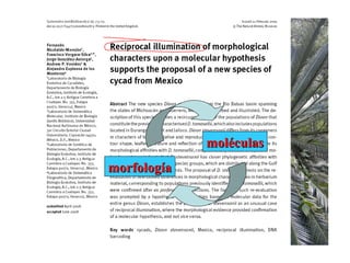 morfologíamorfología
moléculasmoléculas
 