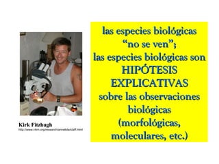 Kirk FitzhughKirk Fitzhugh
http://www.nhm.org/research/annelida/staff.html
las especies biológicaslas especies biológicas
“no se ven”;“no se ven”;
las especies biológicas sonlas especies biológicas son
HIPÓTESISHIPÓTESIS
EXPLICATIVASEXPLICATIVAS
sobre las observacionessobre las observaciones
biológicasbiológicas
(morfológicas,(morfológicas,
moleculares, etc.)moleculares, etc.)
 