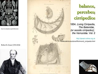 http://en.wikipedia.org/wiki/Barnacle
balanos,balanos,
percebes;percebes;
cirripedioscirripedios
1854.1854. Living Cirripedia,Living Cirripedia,
The Balanidæ,The Balanidæ,
(or sessile cirripedes);(or sessile cirripedes);
the Verrucidæthe Verrucidæ. Vol. 2. Vol. 2
http://darwin-online.org.uk
/EditorialIntroductions/Richmond_cirripedia.html
Robert E. Grant (1793-1874)Robert E. Grant (1793-1874)
 