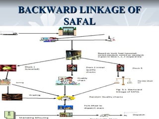 BACKWARD LINKAGE OF
      SAFAL
 