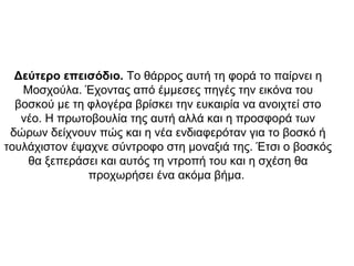 Δεύτερο επεισόδιο. Το θάρρος αυτή τη φορά το παίρνει η
Μοσχούλα. Έχοντας από έμμεσες πηγές την εικόνα του
βοσκού με τη φλογέρα βρίσκει την ευκαιρία να ανοιχτεί στο
νέο. Η πρωτοβουλία της αυτή αλλά και η προσφορά των
δώρων δείχνουν πώς και η νέα ενδιαφερόταν για το βοσκό ή
τουλάχιστον έψαχνε σύντροφο στη μοναξιά της. Έτσι ο βοσκός
θα ξεπεράσει και αυτός τη ντροπή του και η σχέση θα
προχωρήσει ένα ακόμα βήμα.
 