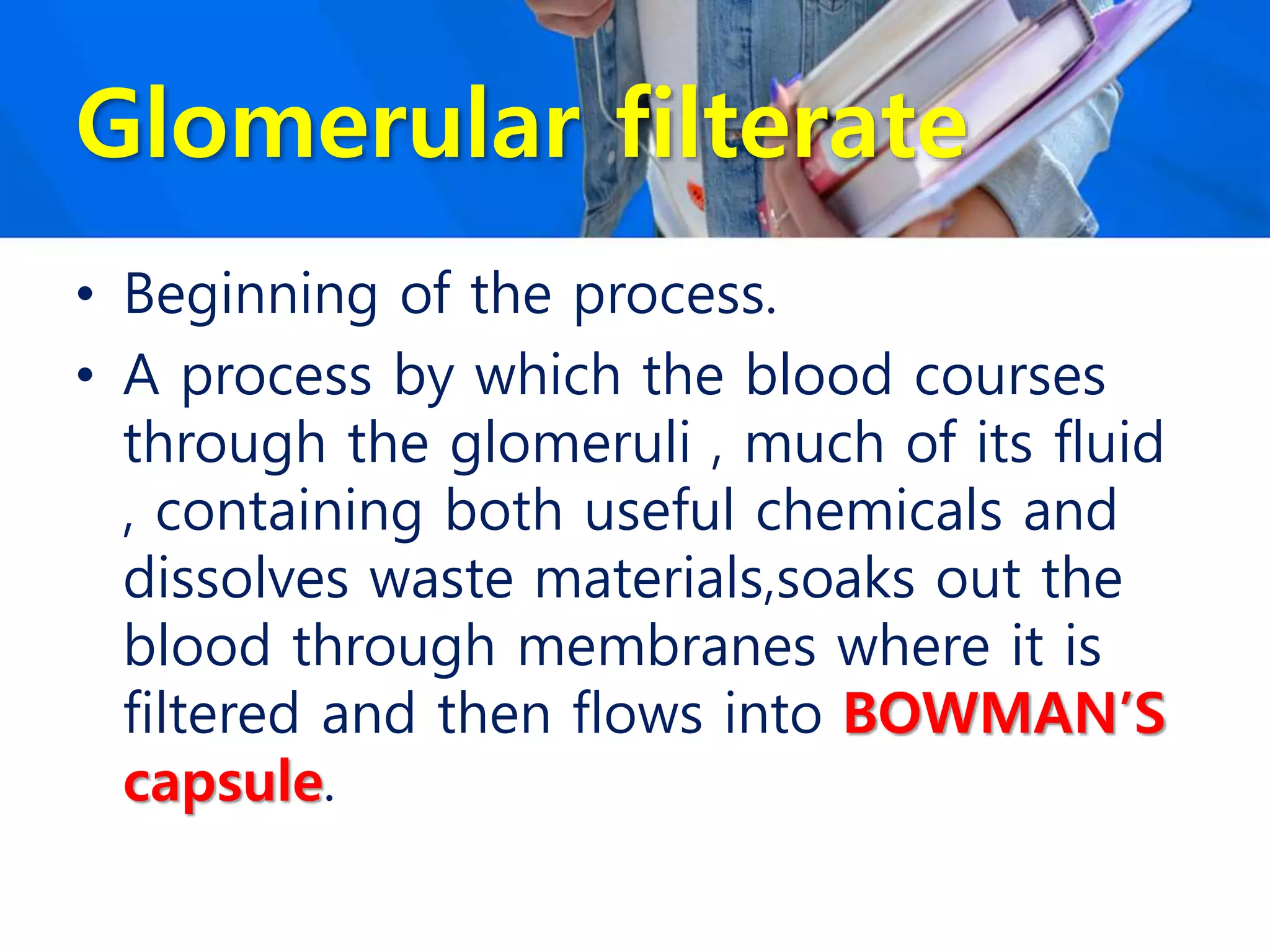 Glomerular filterate
• Beginning of the process.
• A process by which the blood courses
through the glomeruli , much of its fluid
, containing both useful chemicals and
dissolves waste materials,soaks out the
blood through membranes where it is
filtered and then flows into BOWMAN’S
capsule.
 