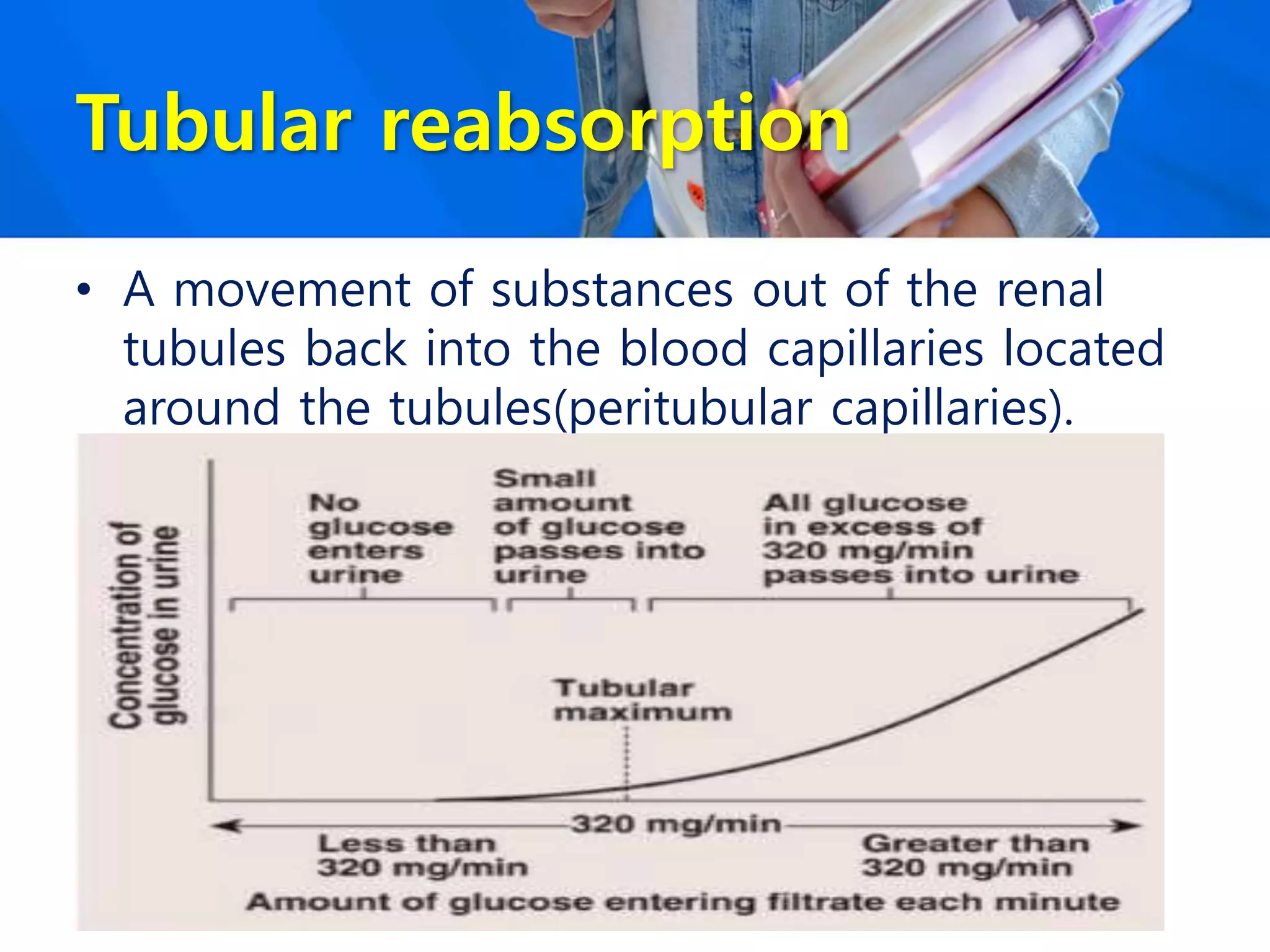 Tubular reabsorption
• A movement of substances out of the renal
tubules back into the blood capillaries located
around the tubules(peritubular capillaries).
 