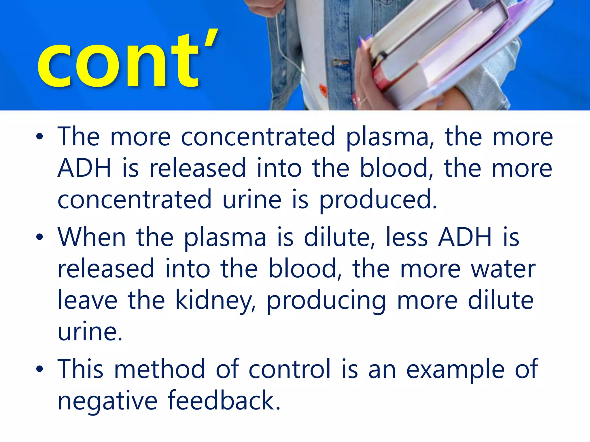 cont’
• The more concentrated plasma, the more
ADH is released into the blood, the more
concentrated urine is produced.
• When the plasma is dilute, less ADH is
released into the blood, the more water
leave the kidney, producing more dilute
urine.
• This method of control is an example of
negative feedback.
 