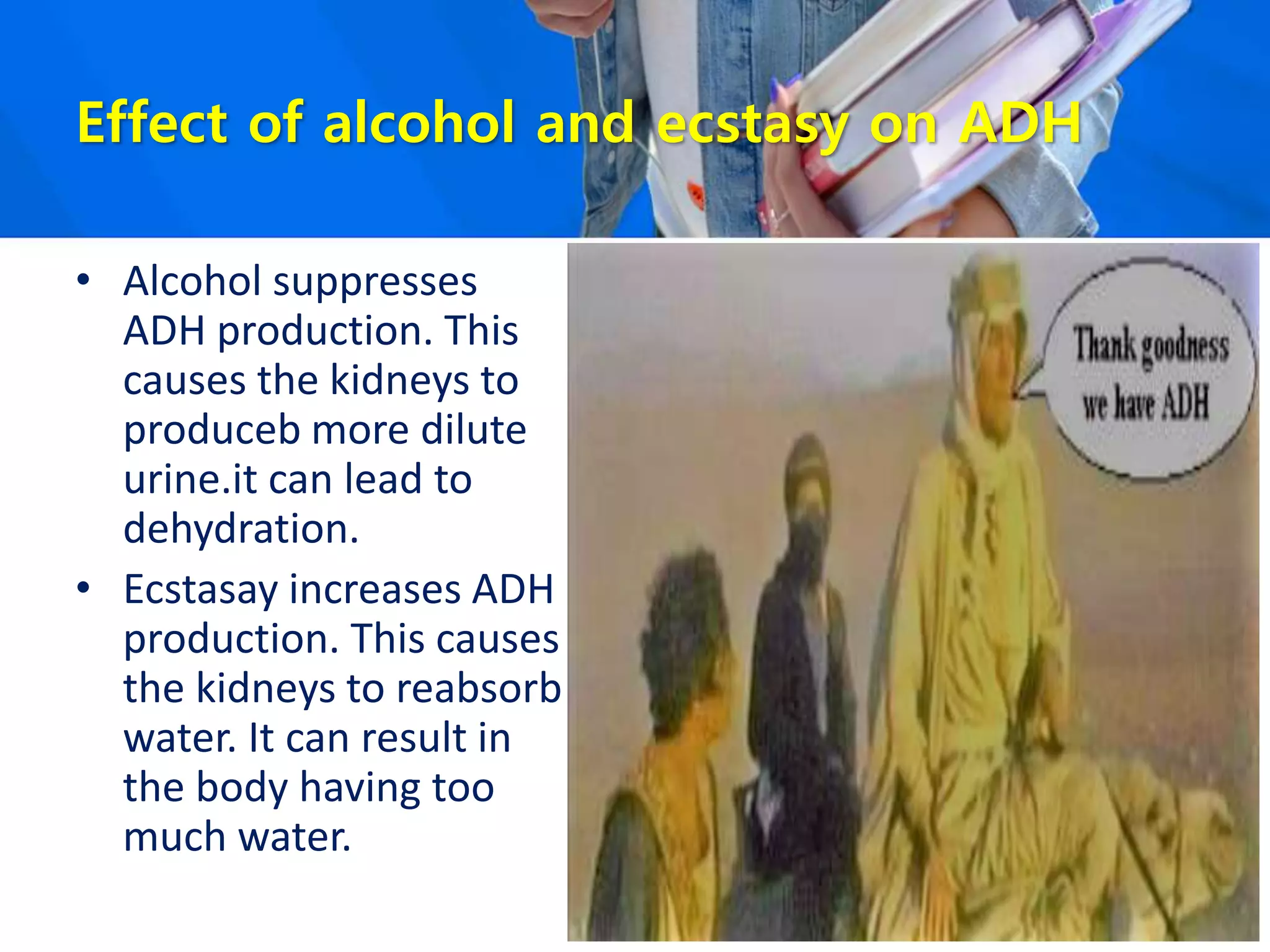 Effect of alcohol and ecstasy on ADH
• Alcohol suppresses
ADH production. This
causes the kidneys to
produceb more dilute
urine.it can lead to
dehydration.
• Ecstasay increases ADH
production. This causes
the kidneys to reabsorb
water. It can result in
the body having too
much water.
 