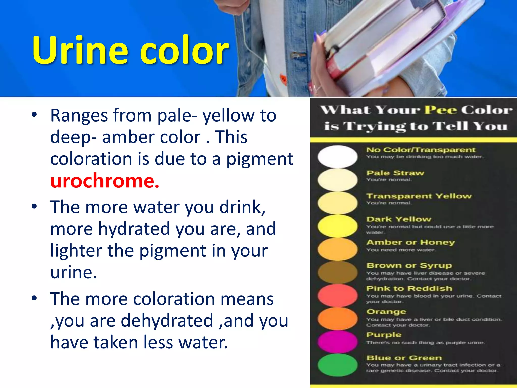 Urine color
• Ranges from pale- yellow to
deep- amber color . This
coloration is due to a pigment
urochrome.
• The more water you drink,
more hydrated you are, and
lighter the pigment in your
urine.
• The more coloration means
,you are dehydrated ,and you
have taken less water.
 