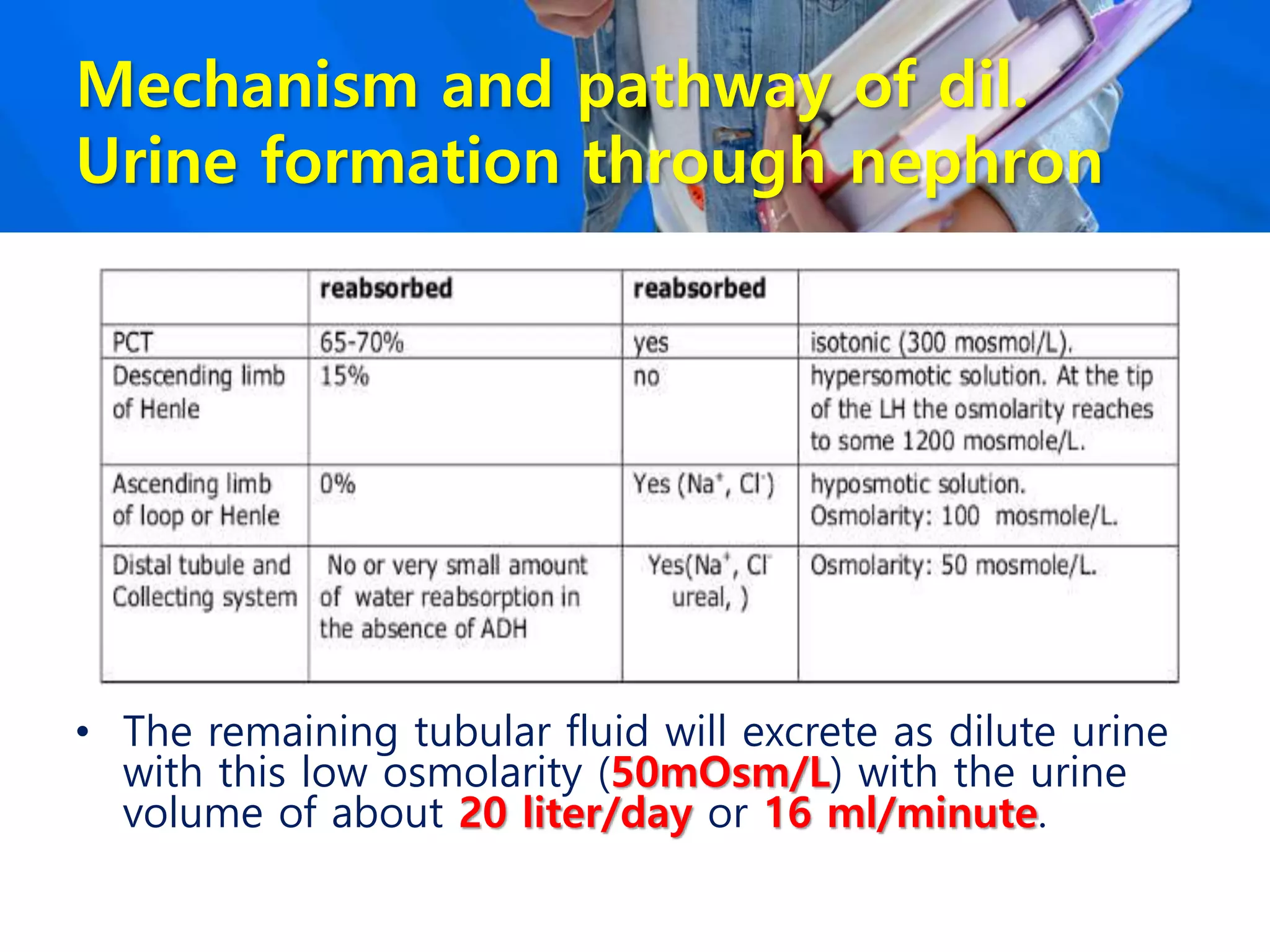 Mechanism and pathway of dil.
Urine formation through nephron
• The remaining tubular fluid will excrete as dilute urine
with this low osmolarity (50mOsm/L) with the urine
volume of about 20 liter/day or 16 ml/minute.
 