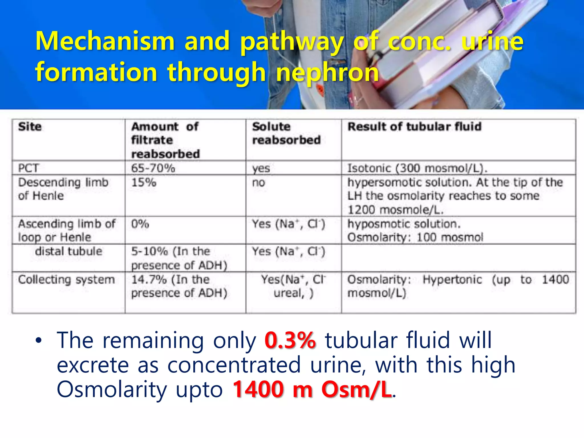 Mechanism and pathway of conc. urine
formation through nephron
• The remaining only 0.3% tubular fluid will
excrete as concentrated urine, with this high
Osmolarity upto 1400 m Osm/L.
 