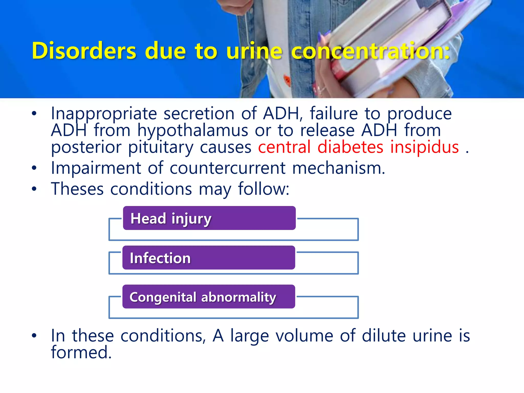 Disorders due to urine concentration:
• Inappropriate secretion of ADH, failure to produce
ADH from hypothalamus or to release ADH from
posterior pituitary causes central diabetes insipidus .
• Impairment of countercurrent mechanism.
• Theses conditions may follow:
• In these conditions, A large volume of dilute urine is
formed.
Head injury
Infection
Congenital abnormality
 