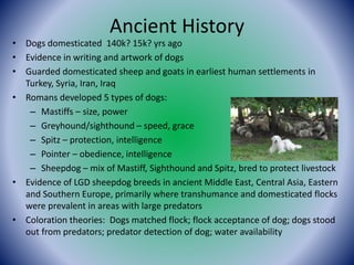 A Primer on Livestock Guardians: Dogs, Donkeys, Llamas Presented by ...