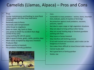 A Primer on Livestock Guardians: Dogs, Donkeys, Llamas Presented by ...