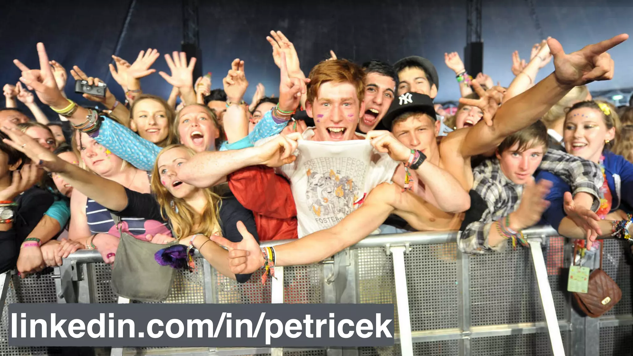 linkedin.com/in/petricek
 