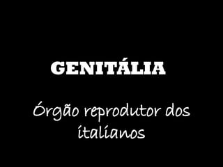 GENITÁLIA Órgão reprodutor dos italianos 