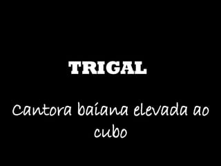 TRIGAL Cantora baiana elevada ao cubo 