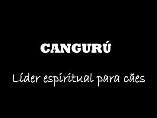 CANGURÚ Líder espiritual para cães 