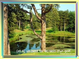 (et 4) un petit lac au sein d’un golf.
 