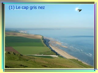 (1) Le cap gris nez
 