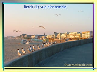 Berck (1) vue d’ensemble
 