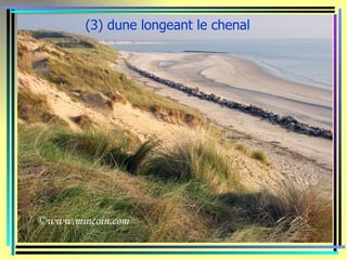 (3) dune longeant le chenal
 