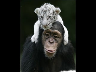 FW: ¡¡¡QUÉ MAMÁ!!!