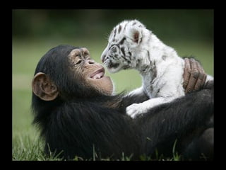 FW: ¡¡¡QUÉ MAMÁ!!!