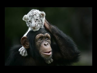 FW: ¡¡¡QUÉ MAMÁ!!!