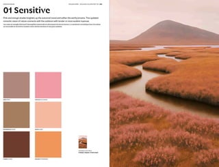 FW27-28 COLORS TREND BOOK BY PECLERS PARIS