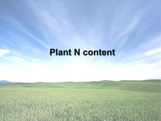 Plant N content
 
