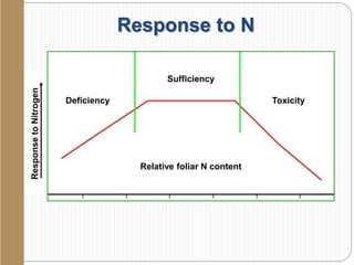 Response to NResponsetoNitrogen
Deficiency
Sufficiency
Toxicity
Relative foliar N content
 