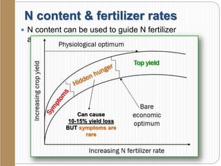 N content & fertilizer rates
 N content can be used to guide N fertilizer
applications
Increasing N fertilizer rate
Increasingcropyield Physiological optimum
Top yield
Bare
economic
optimum
Can cause
10-15% yield loss
BUT symptoms are
rare
 