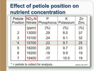 Effect of petiole position on
nutrient concentration
Agvise Lab, 2017
 