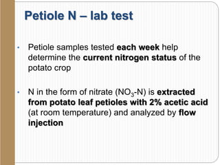 Petiole N – lab test
• Petiole samples tested each week help
determine the current nitrogen status of the
potato crop
• N in the form of nitrate (NO3-N) is extracted
from potato leaf petioles with 2% acetic acid
(at room temperature) and analyzed by flow
injection
 