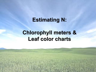 Estimating N:
Chlorophyll meters &
Leaf color charts
 