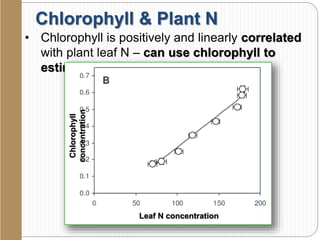 Chlorophyll & Plant N
• Chlorophyll is positively and linearly correlated
with plant leaf N – can use chlorophyll to
estimate NChlorophyll
concentration
Leaf N concentration
 