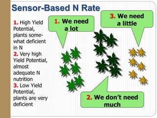 Sensor-Based N Rate
1. We need
a lot
2. We don’t need
much
3. We need
a little1. High Yield
Potential,
plants some-
what deficient
in N
2. Very high
Yield Potential,
almost
adequate N
nutrition
3. Low Yield
Potential,
plants are very
deficient
 