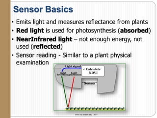Sensor Basics
• Emits light and measures reflectance from plants
• Red light is used for photosynthesis (absorbed)
• NearInfrared light – not enough energy, not
used (reflected)
• Sensor reading - Similar to a plant physical
examination
www.nue.okstate.edu, 2014
 