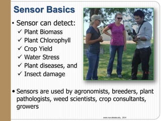Sensor Basics
• Sensor can detect:
 Plant Biomass
 Plant Chlorophyll
 Crop Yield
 Water Stress
 Plant diseases, and
 Insect damage
 Sensors are used by agronomists, breeders, plant
pathologists, weed scientists, crop consultants,
growers
www.nue.okstate.edu, 2014
 