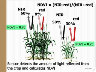 red
redNIR
NIR
30%50%
60% 8%
NDVI = (NIR-red)/(NIR+red)
Sensor detects the amount of light reflected from
the crop and calculates NDVI Tubana, 2007
NDVI = 0.76
NDVI = 0.25
 