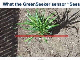 N-Tech Ind., 2009
What the GreenSeeker sensor “Sees”
 