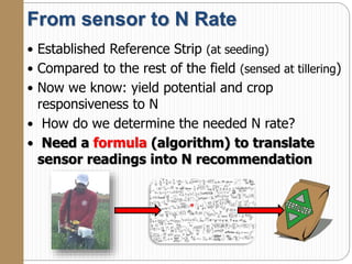 From sensor to N Rate
 Established Reference Strip (at seeding)
 Compared to the rest of the field (sensed at tillering)
 Now we know: yield potential and crop
responsiveness to N
 How do we determine the needed N rate?
 Need a formula (algorithm) to translate
sensor readings into N recommendation
 