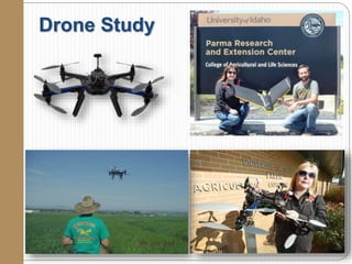 Drone Study
 