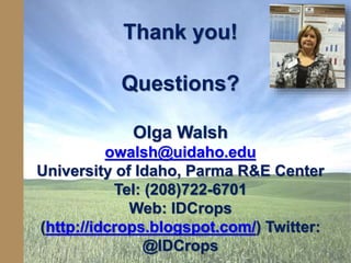 Thank you!
Questions?
Olga Walsh
owalsh@uidaho.edu
University of Idaho, Parma R&E Center
Tel: (208)722-6701
Web: IDCrops
(http://idcrops.blogspot.com/) Twitter:
@IDCrops
 