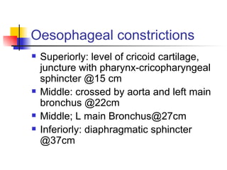Oesophageal constrictions Superiorly: level of cricoid cartilage, juncture with pharynx-cricopharyngeal sphincter @15 cm Middle: crossed by aorta and left main bronchus @22cm Middle; L main Bronchus@27cm Inferiorly: diaphragmatic sphincter @37cm 
