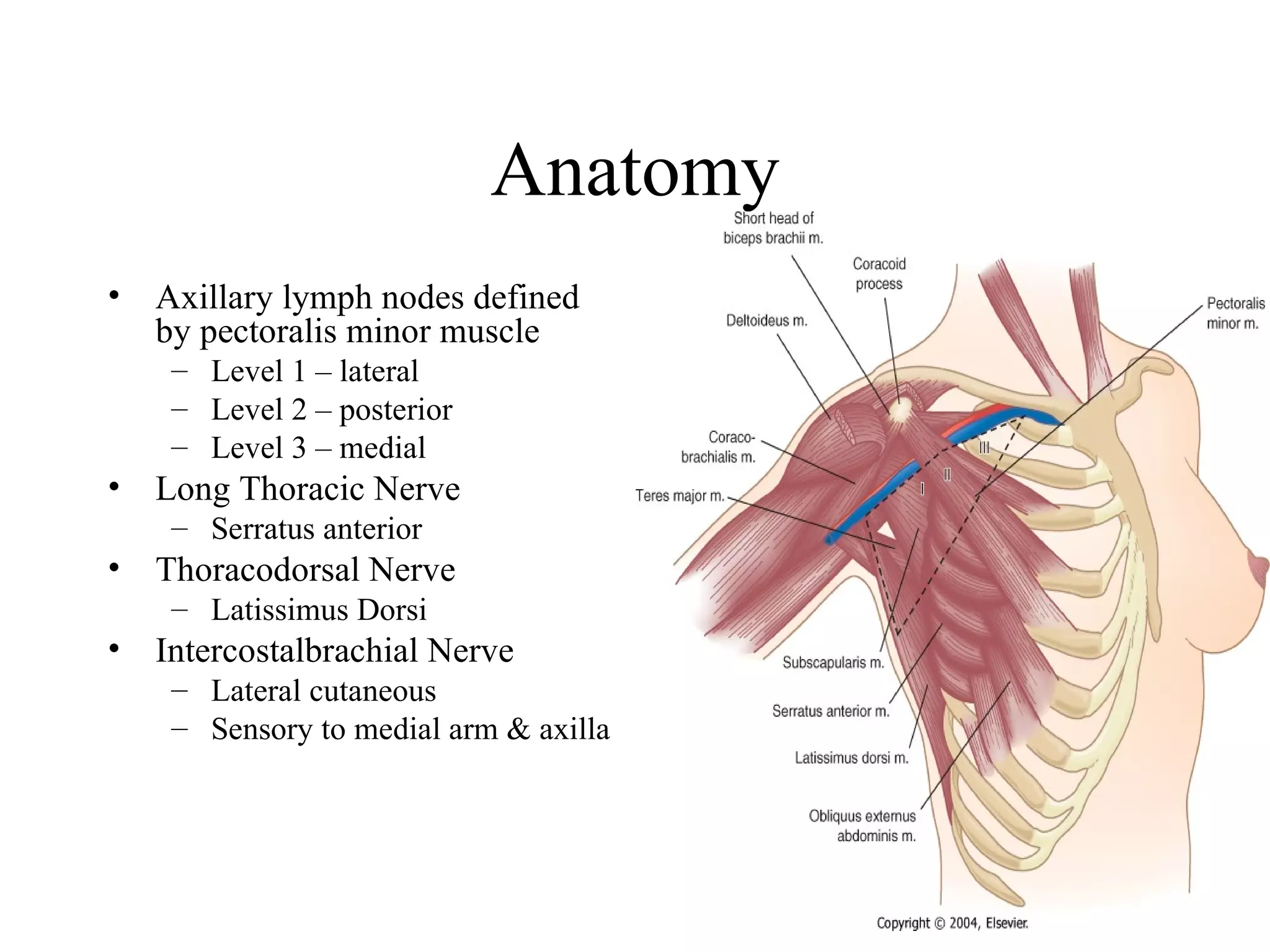 Fwd: Benign Breast Disease Mr. Evoy | PPT