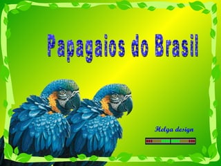 Papagaios do Brasil Helga design 