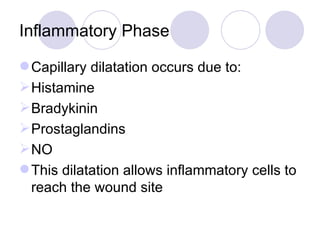 Inflammatory Phase Capillary dilatation occurs due to: Histamine Bradykinin Prostaglandins NO This dilatation allows inflammatory cells to reach the wound site 